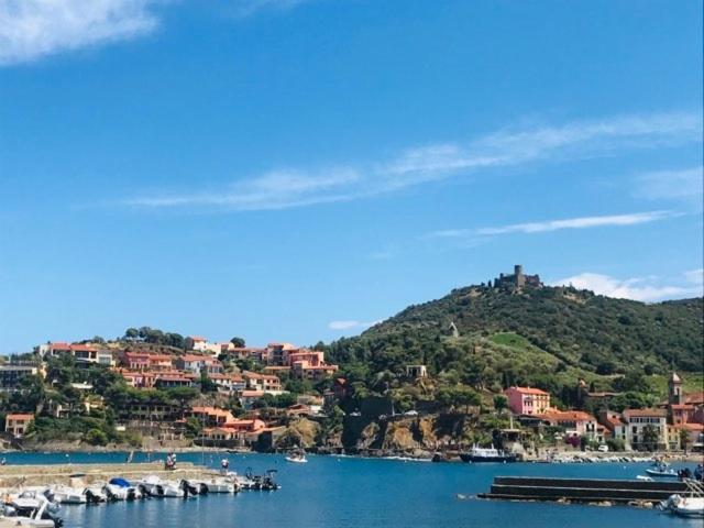 Villa Confort Et Cosy 20 Minutes D'Espagne Plage d'Argeles Екстер'єр фото